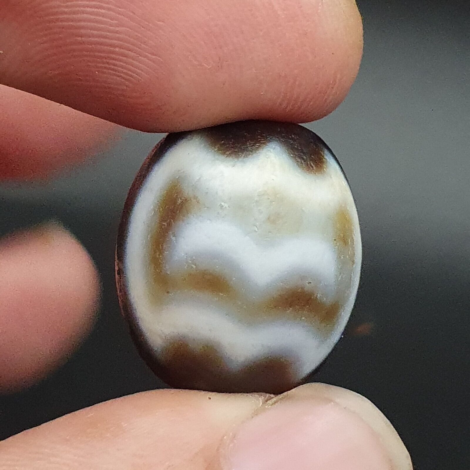 Very Rare Pattern Old Antique Himalayan Tibetan Dragon Bat Eyes Dzi Amulet Bead