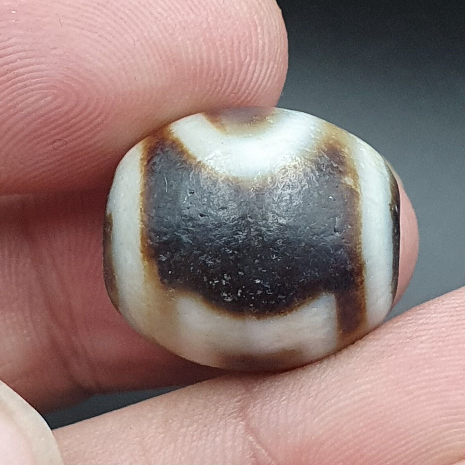 Old Antique Himalayan Tibetan Dragon 2 Eyes Dzi Amulet Bead