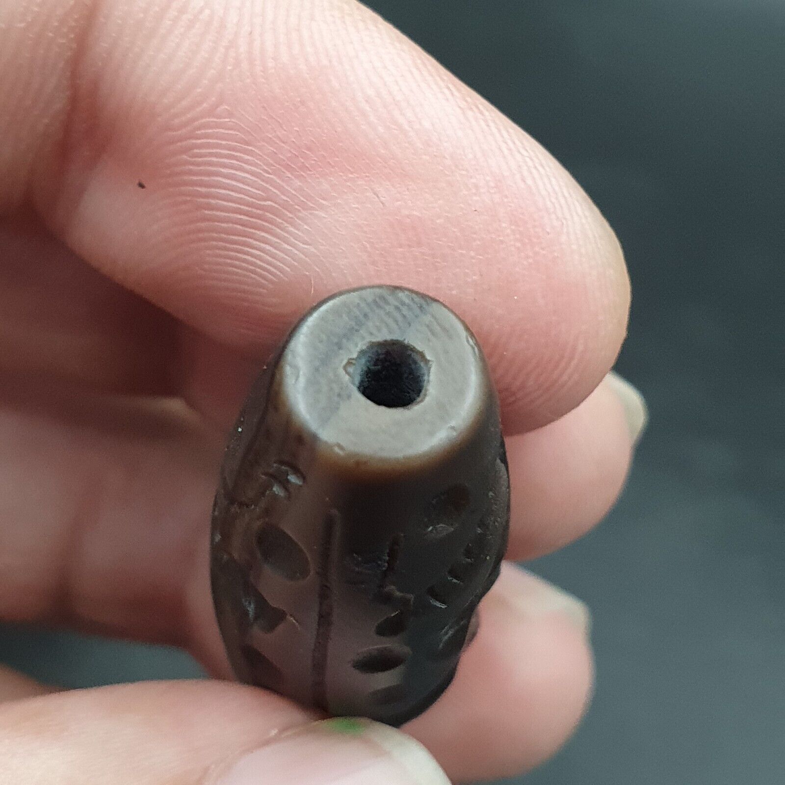 Indo Tibetan Carving Agate Eye stone Bead Amulet Hunting prey  #10215