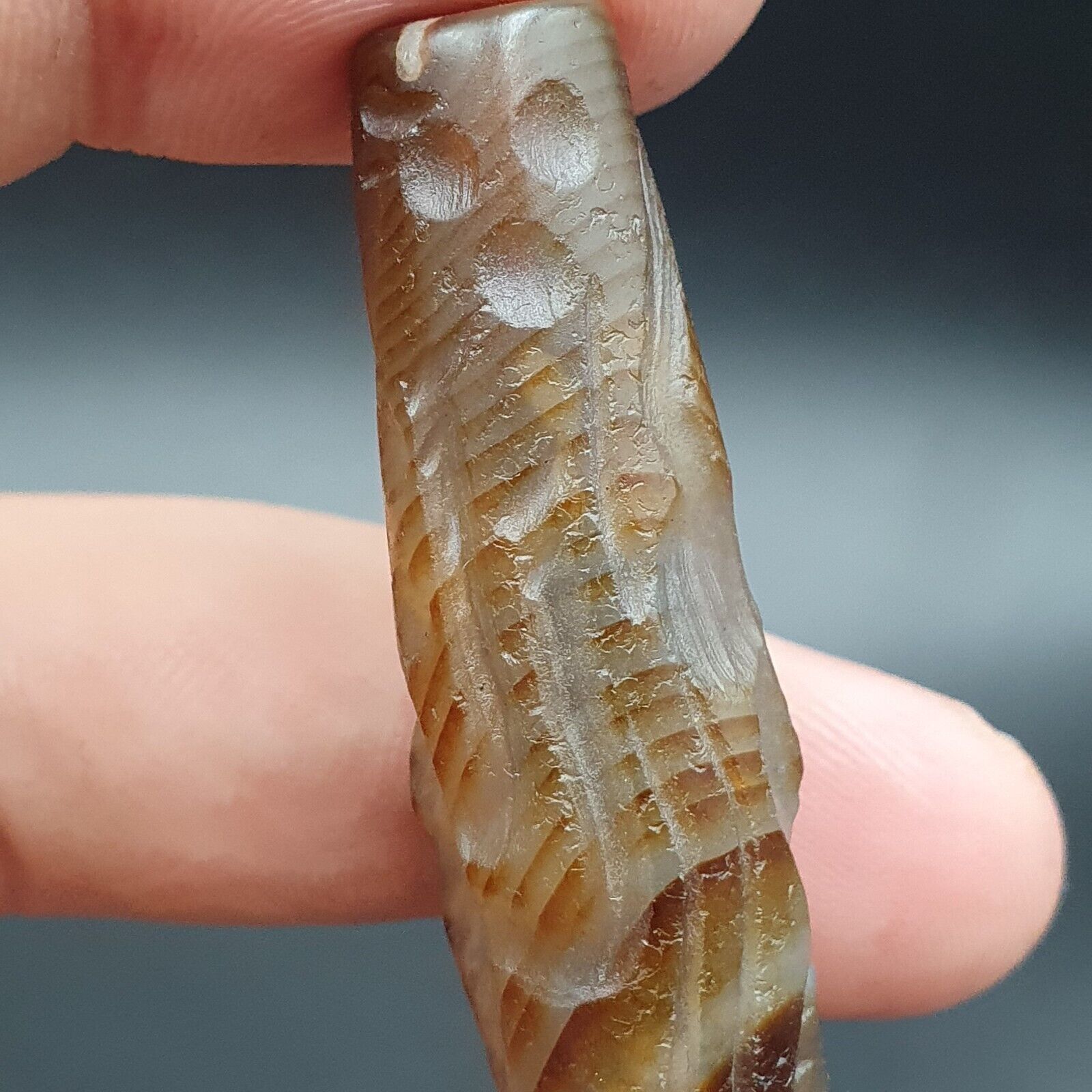 Rare Animals Antique Ancient Indo Tibetan Carving Agate Bead Amulet