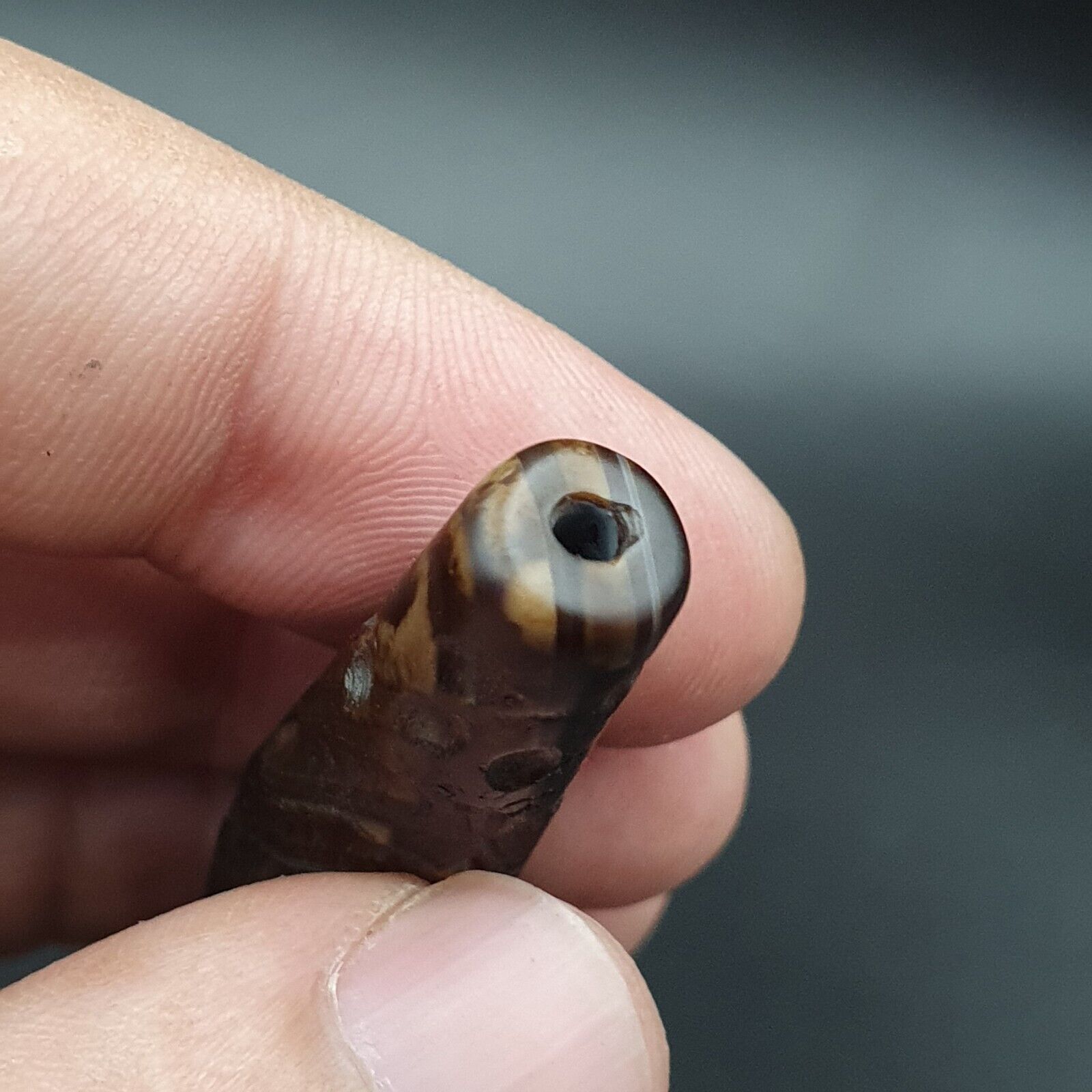 Mystic Horse and Bird Antique Ancient Indo Tibetan Carving Agate Bead Amulet