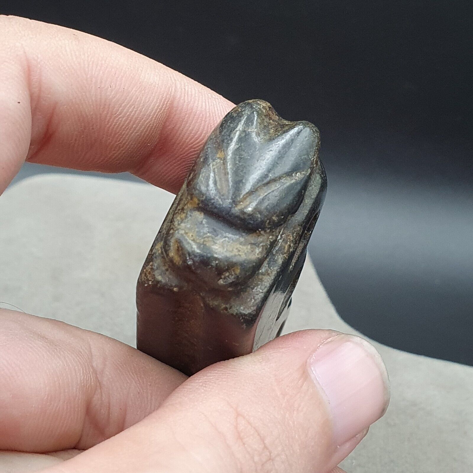 Antique Black Magnetic Stone mysterious animal carving Jade Amulet Stone MG -4