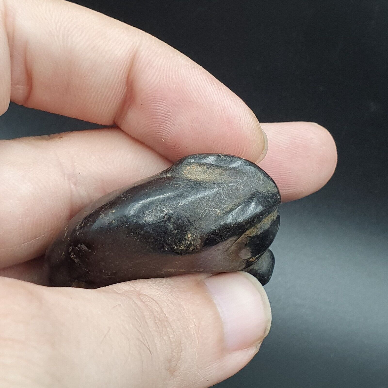 Antique Black Magnetic Stone Mystery creature Pendent Jade Amulet Stone MG-15