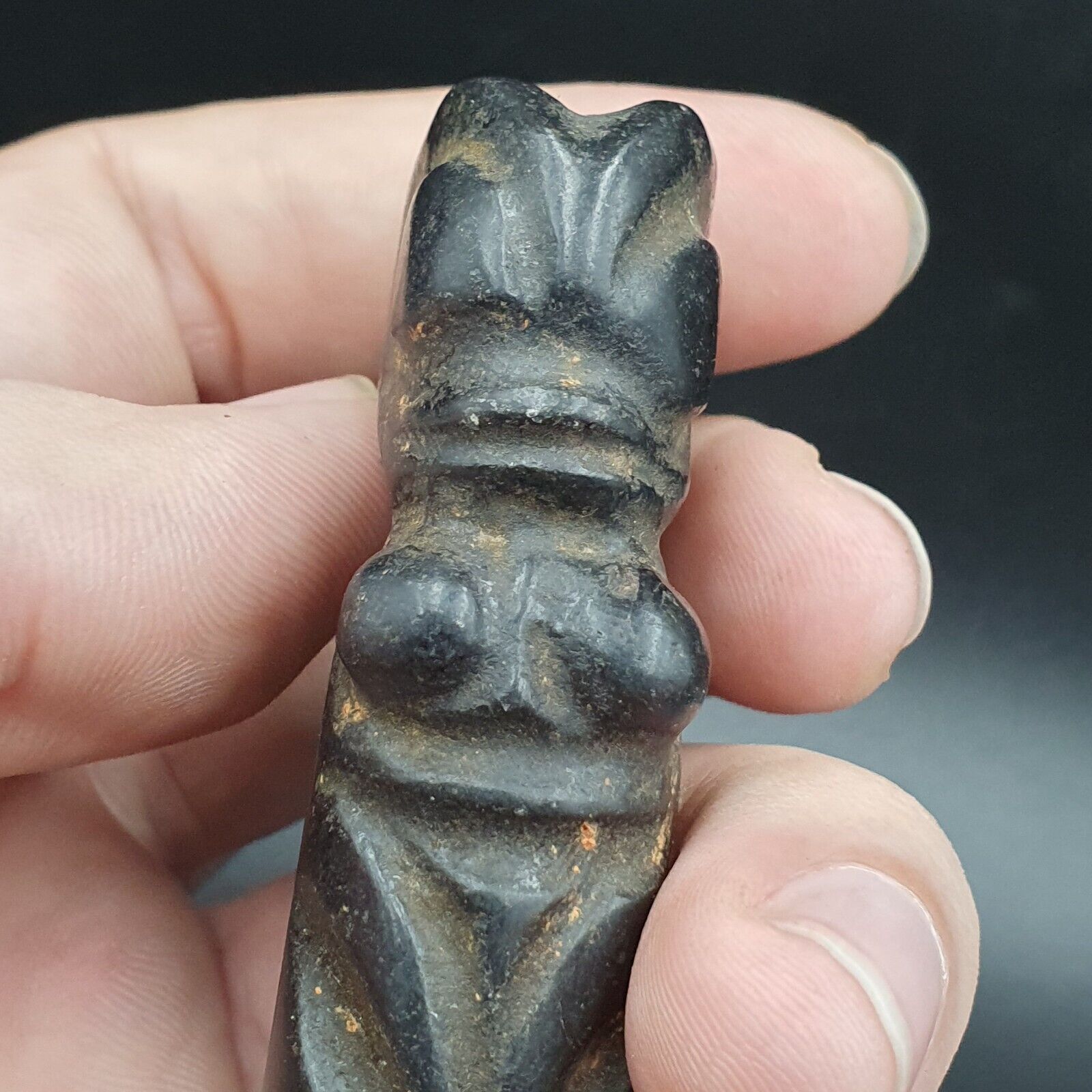 Antique Black Magnetic Stone Mystery creature Pendent Jade Amulet Stone MG-15