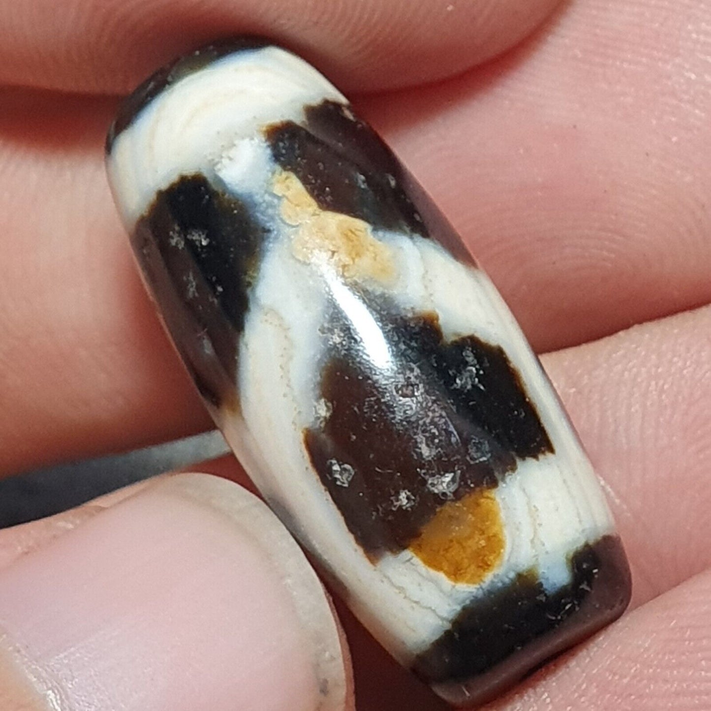 N#41 Himalaya-Indo-Tibetische Windows-Muster Dzi-Amulett-Perle