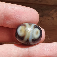 Dragon Eye Old Antique Himalayan Indo Tibetan Dragon 7 Eyes Dzi Amulet Bead