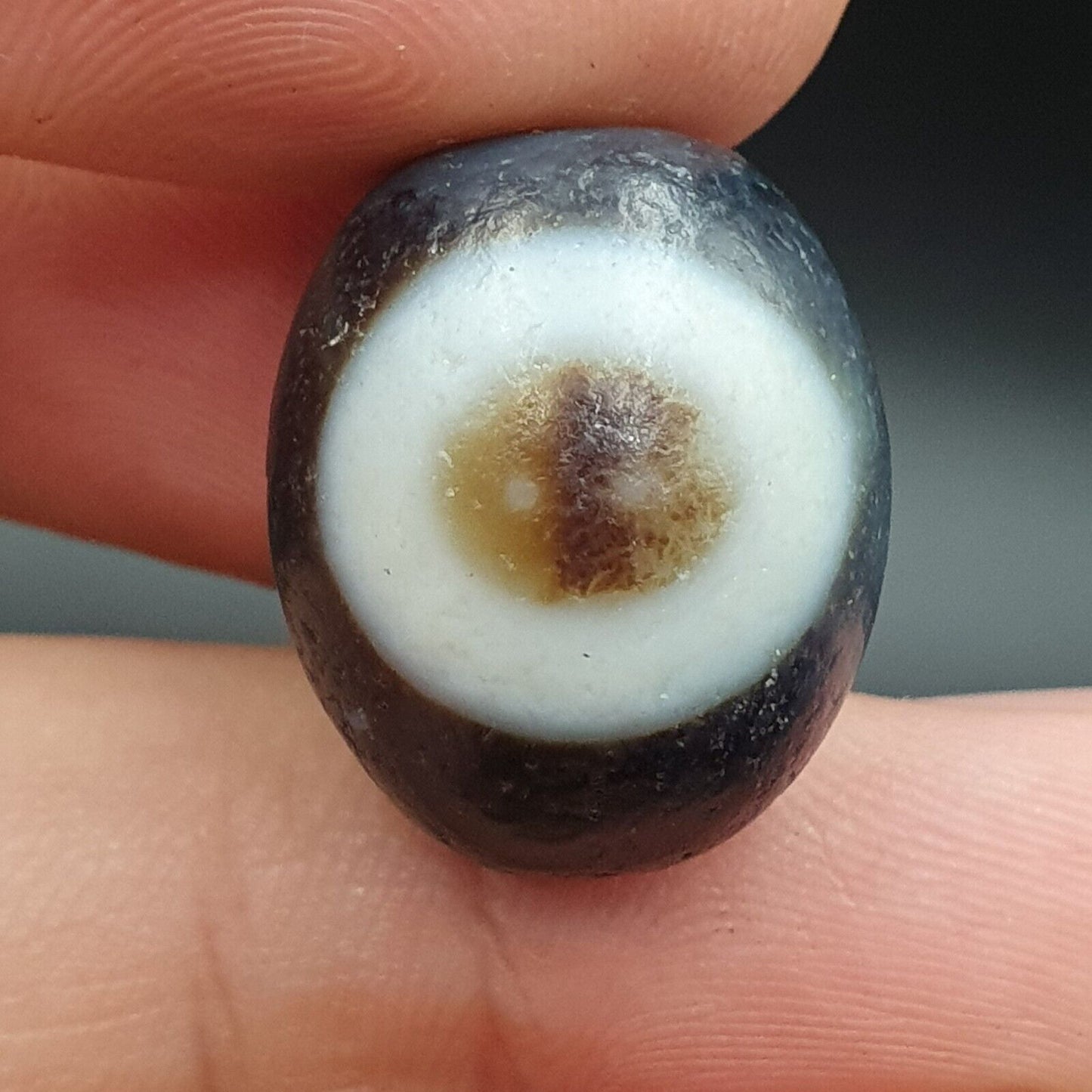 舊古董喜馬拉雅西藏龍 2 眼天珠護身符珠 #23