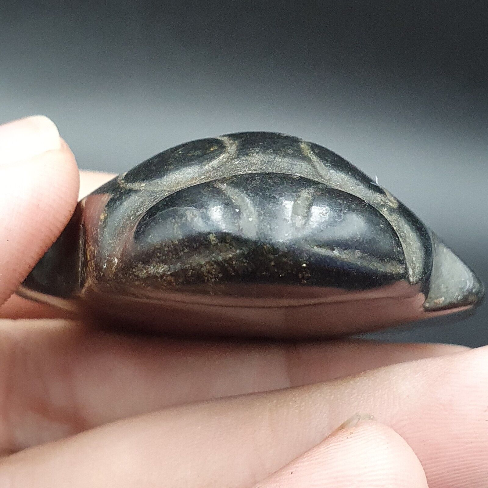 Antique Black Magnetic Stone Mystery creature Pendent Jade Amulet Stone MG-17