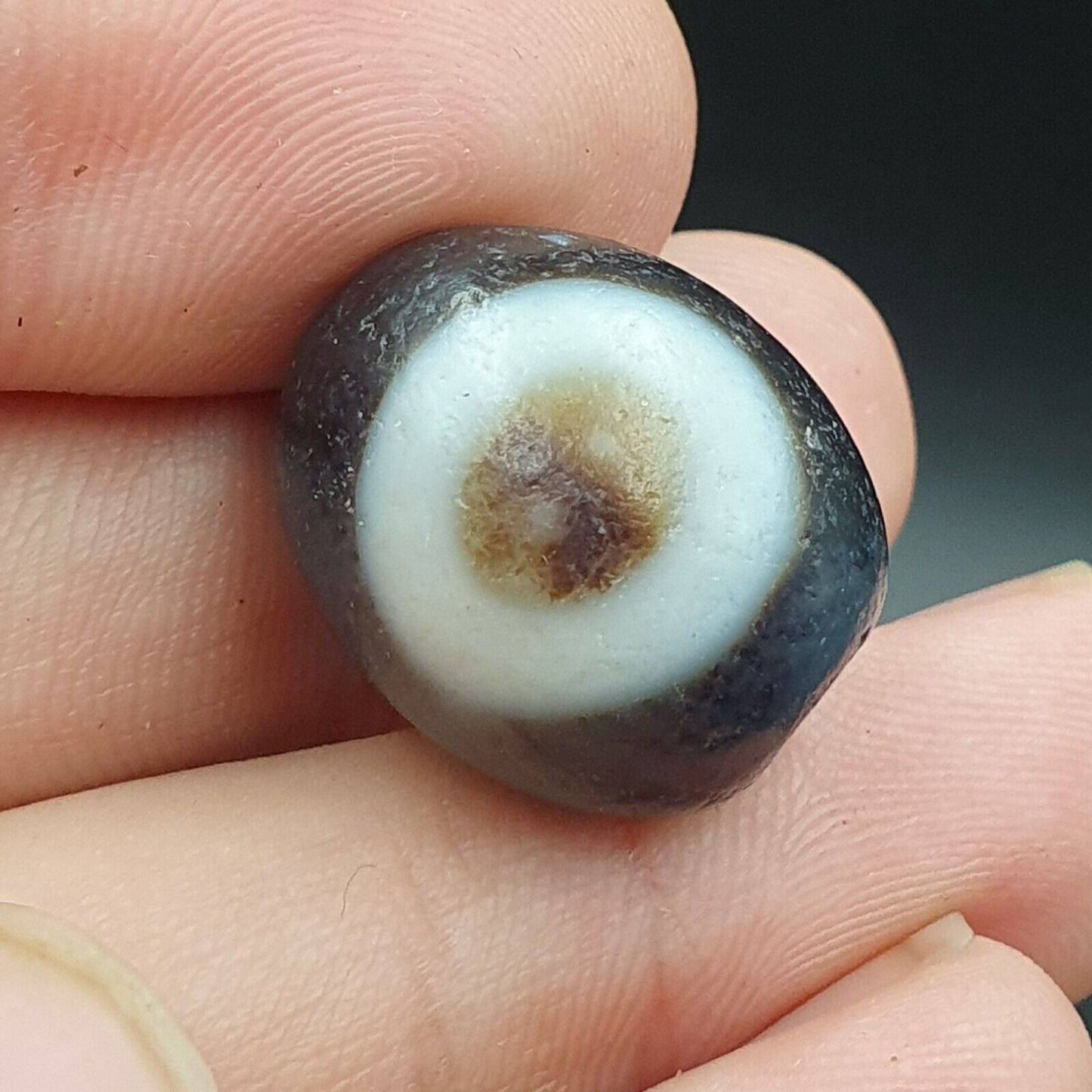 舊古董喜馬拉雅西藏龍 2 眼天珠護身符珠 #23