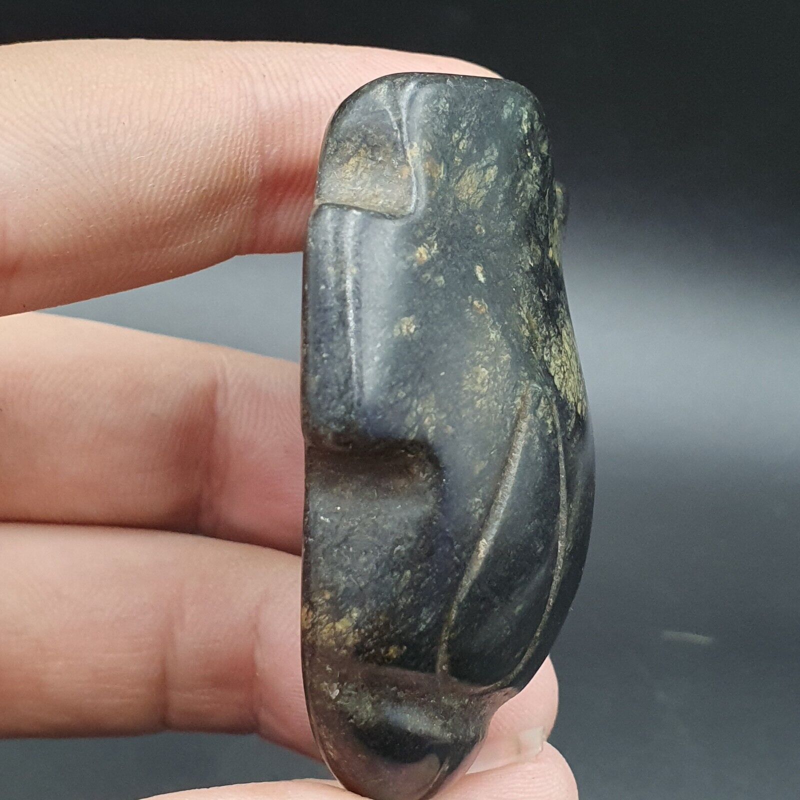 Antique Black Magnetic Stone Mystery creature Pendent Jade Amulet Stone MG-17