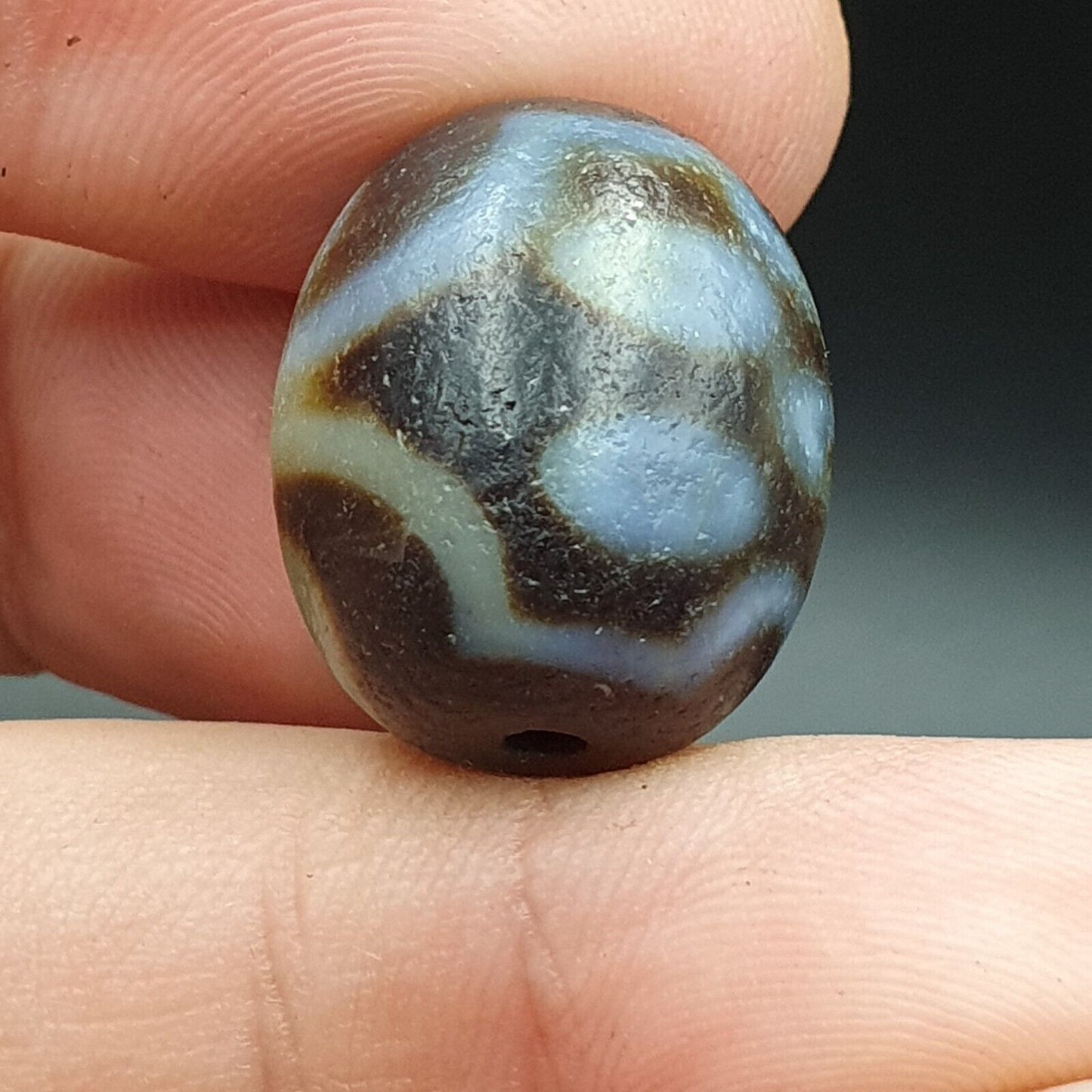 龍眼老古董喜馬拉雅印度西藏龍 7 眼天珠護身符珠 #21