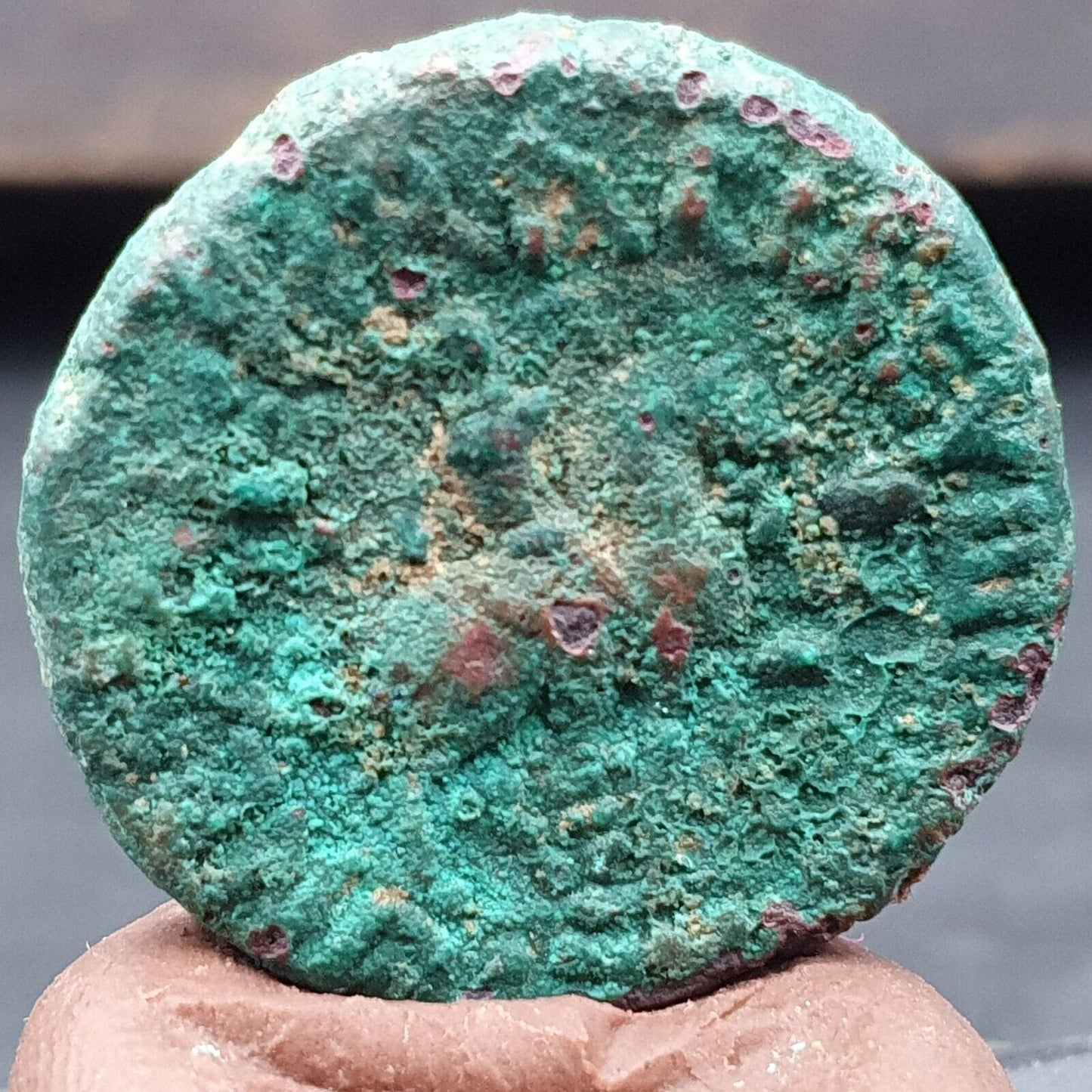 古代古董稀有希臘貴霜帝國銅幣（約公元 55-105 年）CNL#2