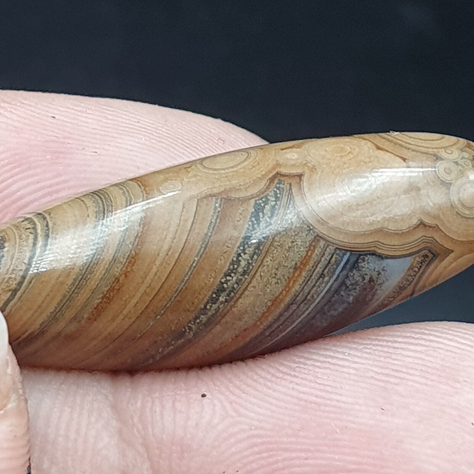 Agate Bead Vintage Himalayan Indo Tibetan Eye pattern Bead #5