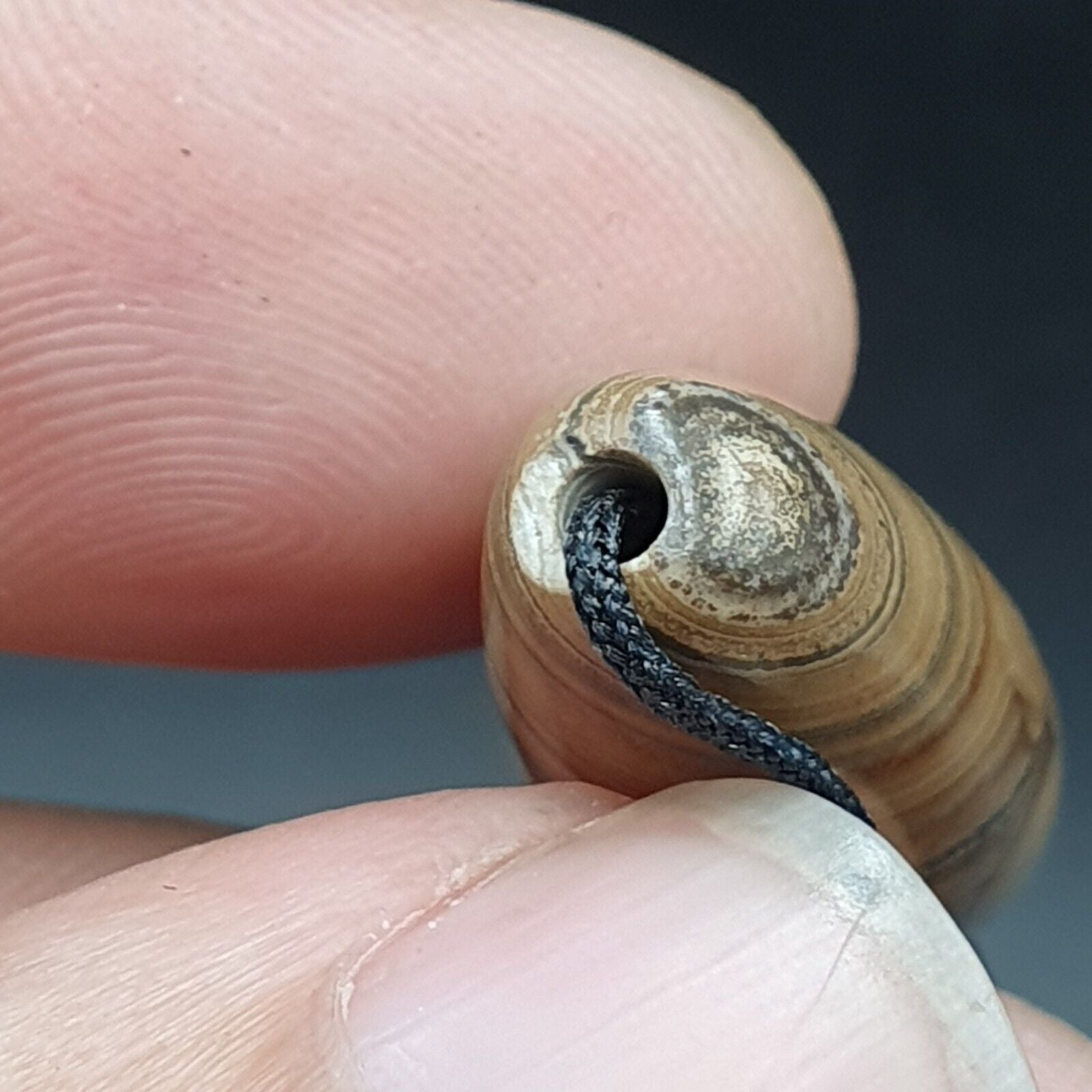 Agate Bead Vintage Himalayan Indo Tibetan Eye pattern Bead #5