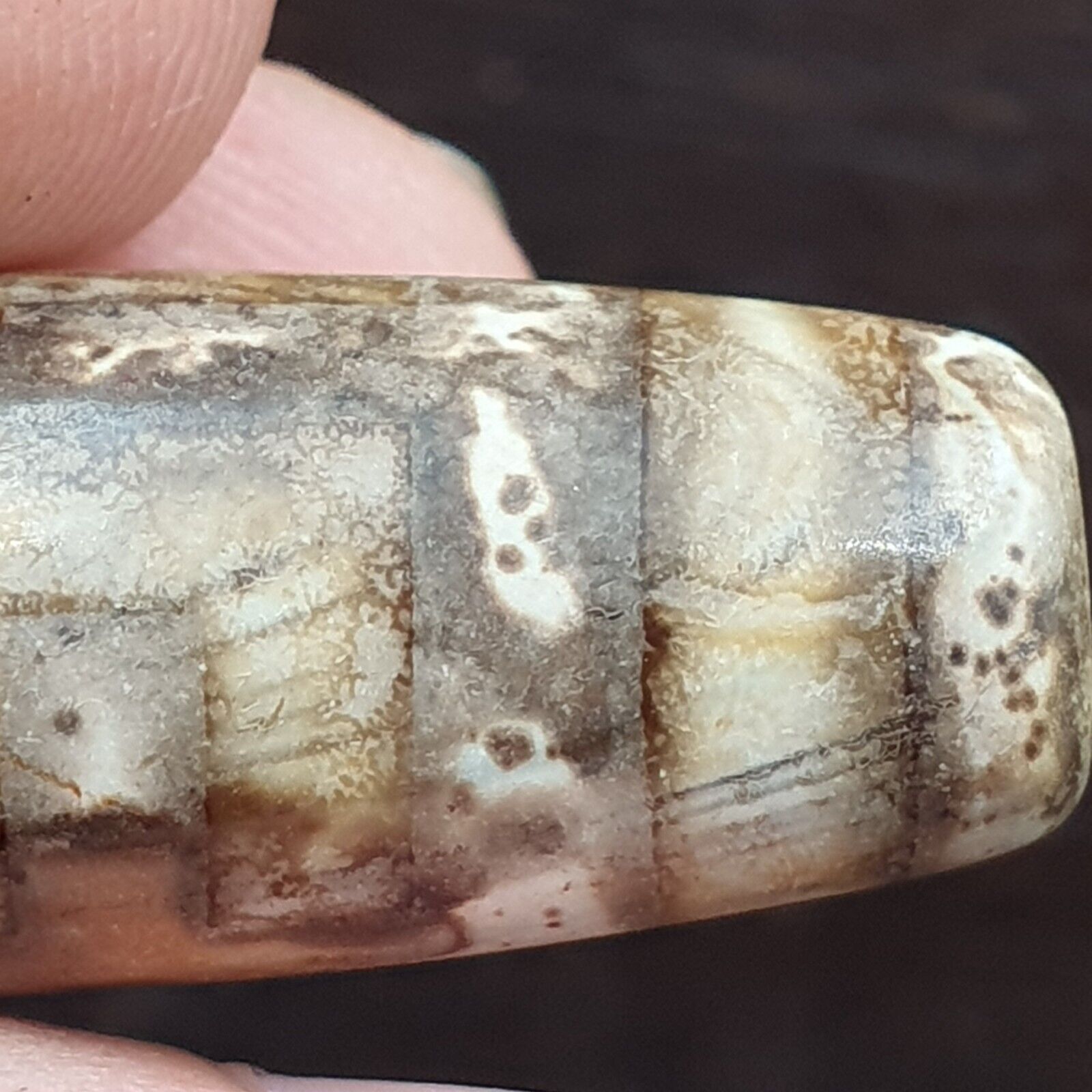 Rusted Agate Old Indo Tibetan Agate 2 Eye Agate stone Dzi  Bead Amulet