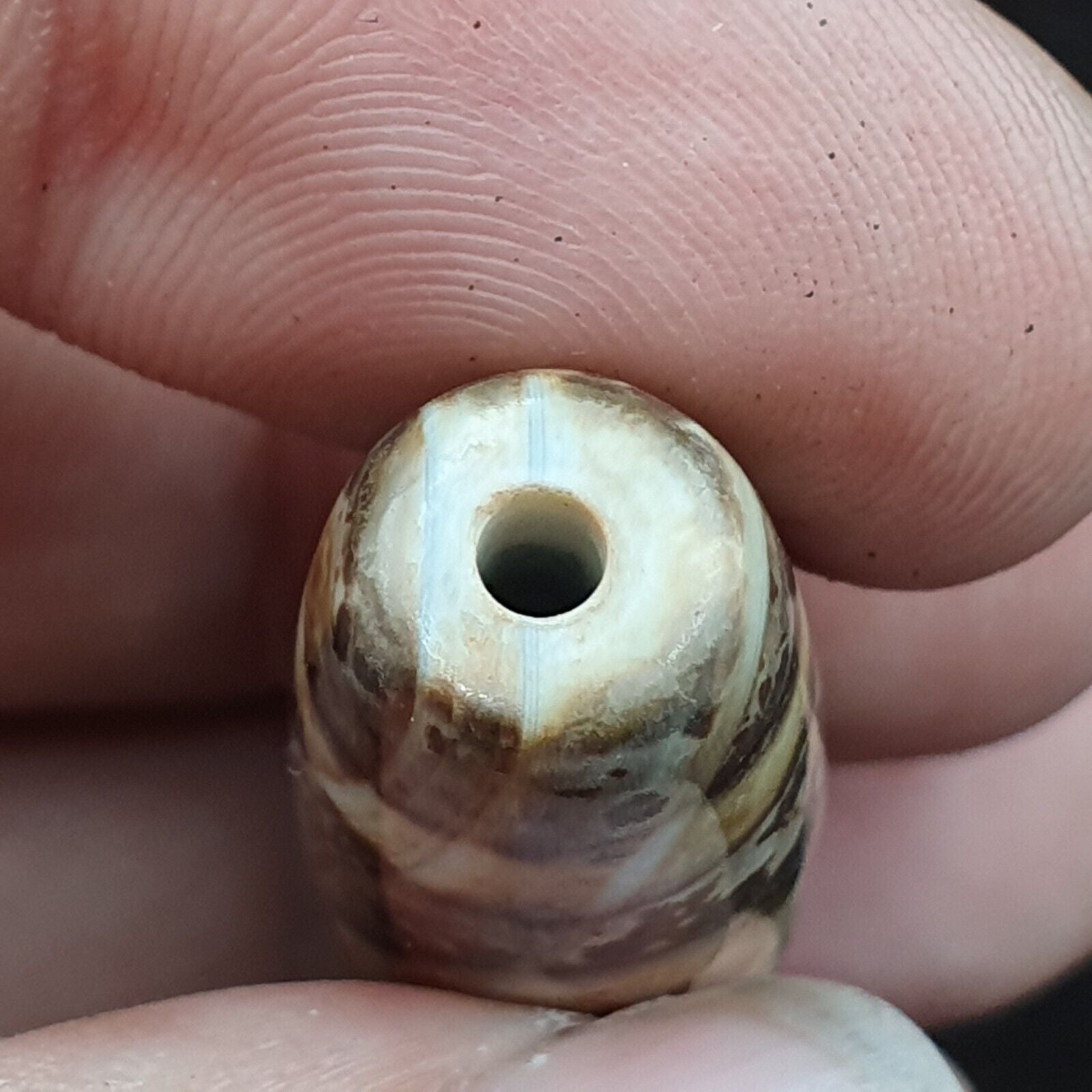Rare Rusted Old Indo Tibetan Agate 2 Eye Agate stone Dzi Decorated Bead Amulet