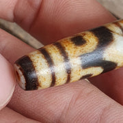Rare Double Tasso Dzi Bead – Antique Himalayan Agate Amulet