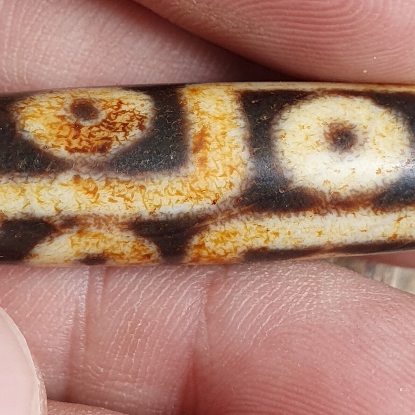 尼泊爾喜馬拉雅藏天珠 6 眼靈性護身符瑪拉珠獨特珠子