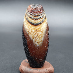 Himalayan Indo Tibetan Agate bead Dragon Skin Agate Amulet Bead #21