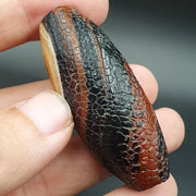 East Oasis Rare Dragon Skin Eye Agate Amulet Bead #26, Himalayan Indo Tibetan Pattern