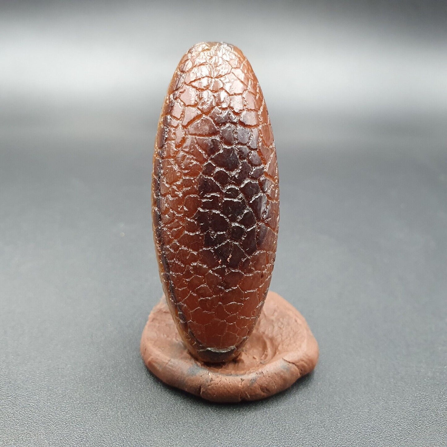 Seltene Drachenhautauge Achat Himalaya Indo Tibet Achat Perle Amulett Perle #27