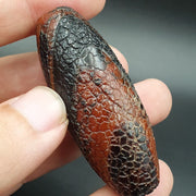 East Oasis Rare Dragon Skin Eye Agate Amulet Bead #26, Himalayan Indo Tibetan Pattern