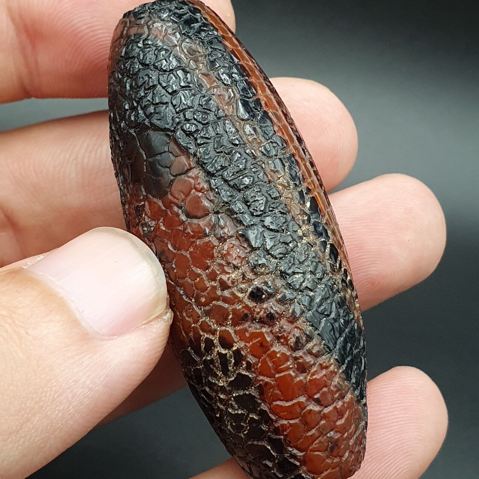 Seltene Drachenhautauge Achat Himalaya Indo Tibet Achat Perle Amulett Perle #26