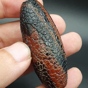 East Oasis Rare Dragon Skin Eye Agate Amulet Bead #26, Himalayan Indo Tibetan Pattern