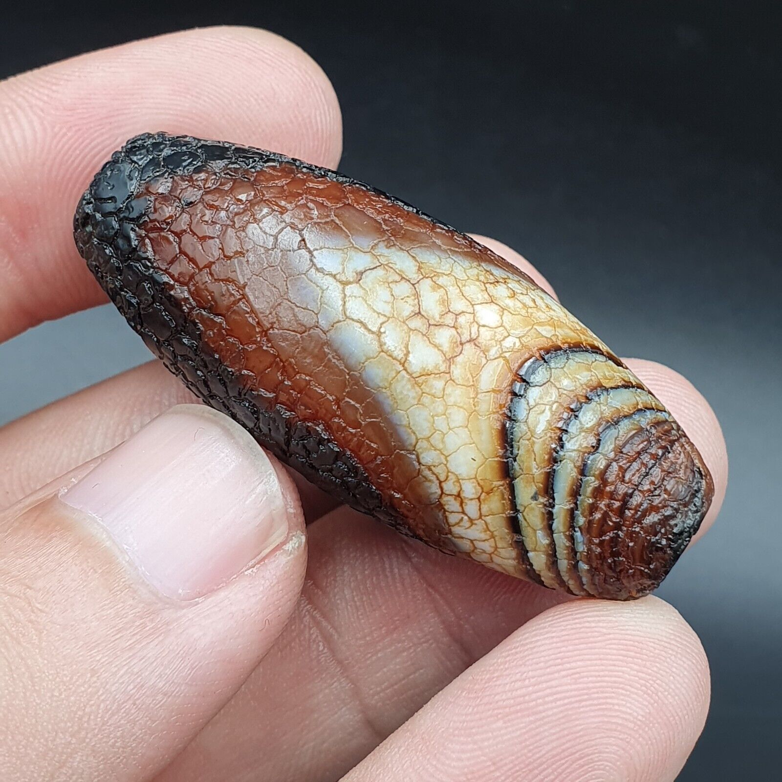 Himalayan Indo Tibetan Agate bead Dragon Skin Agate Amulet Bead #21