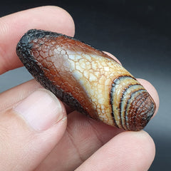 Himalayan Indo Tibetan Agate bead Dragon Skin Agate Amulet Bead #21