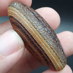Rare Dragon Skin eye Agate Himalayan Indo Tibetan Agate bead Amulet Bead #27