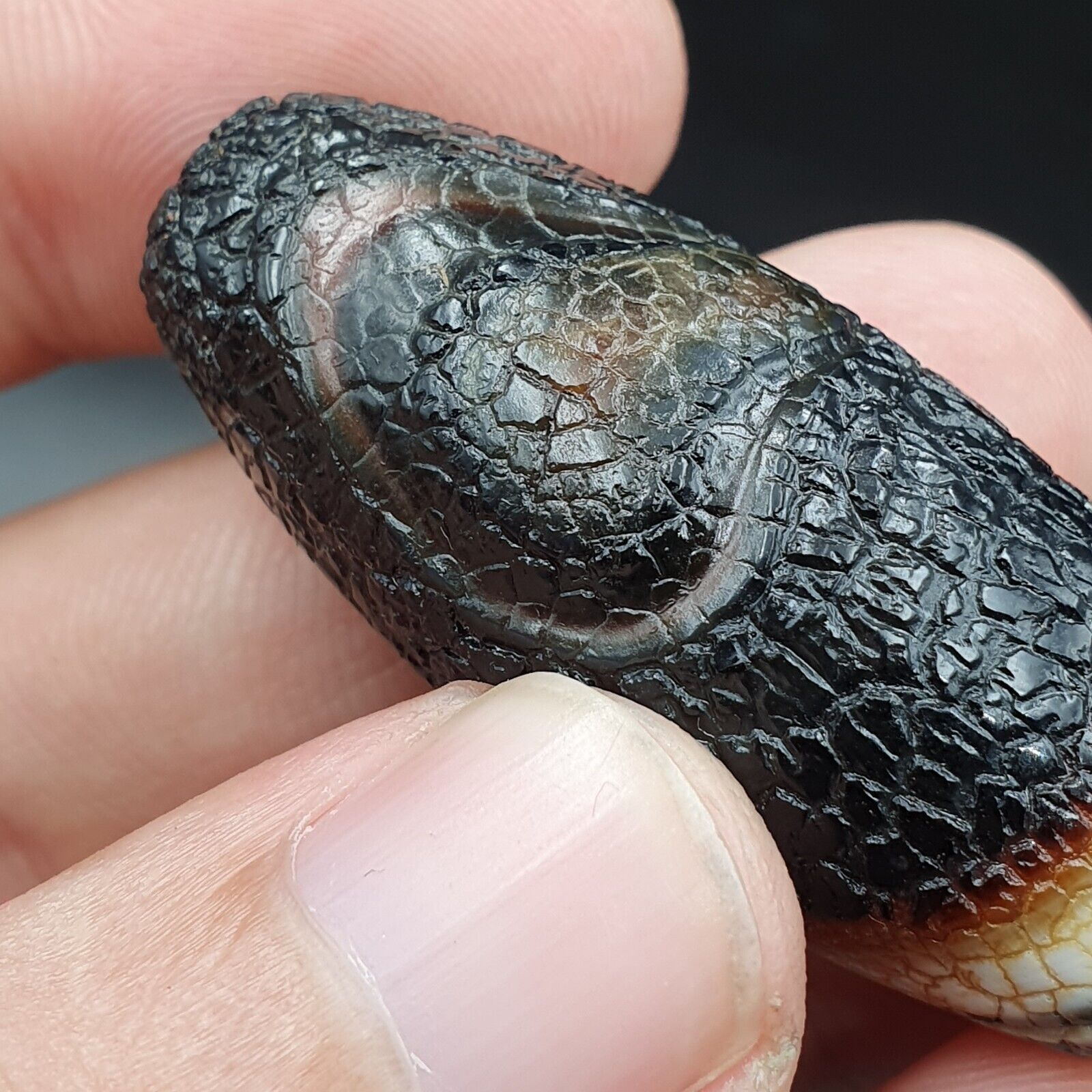 Himalayan Indo Tibetan Agate bead Dragon Skin Agate Amulet Bead #21
