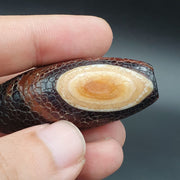 East Oasis Rare Dragon Skin Eye Agate Amulet Bead #26, Himalayan Indo Tibetan Pattern