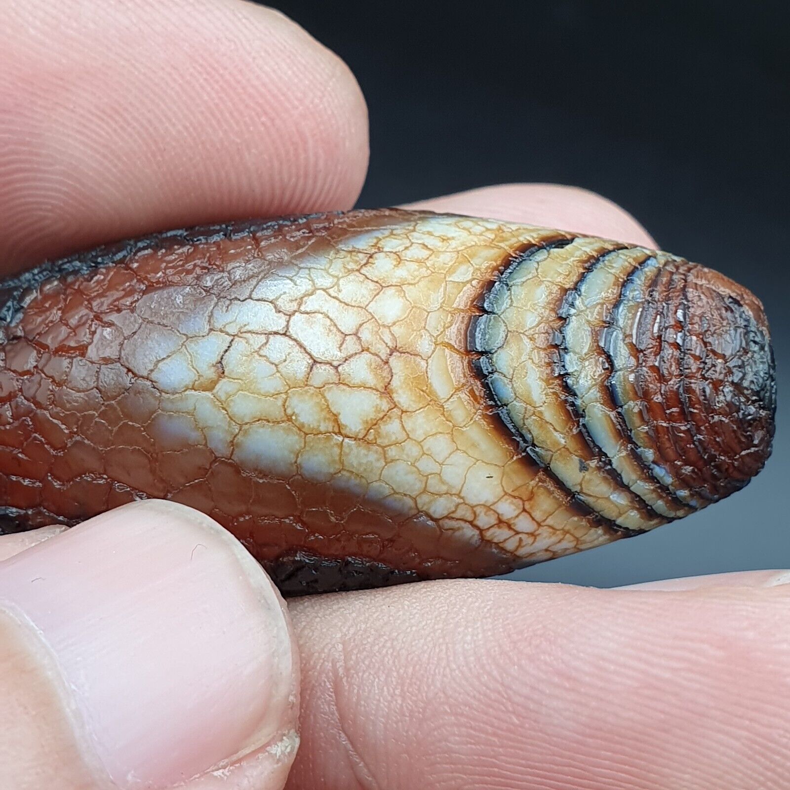 Himalayan Indo Tibetan Agate bead Dragon Skin Agate Amulet Bead #21