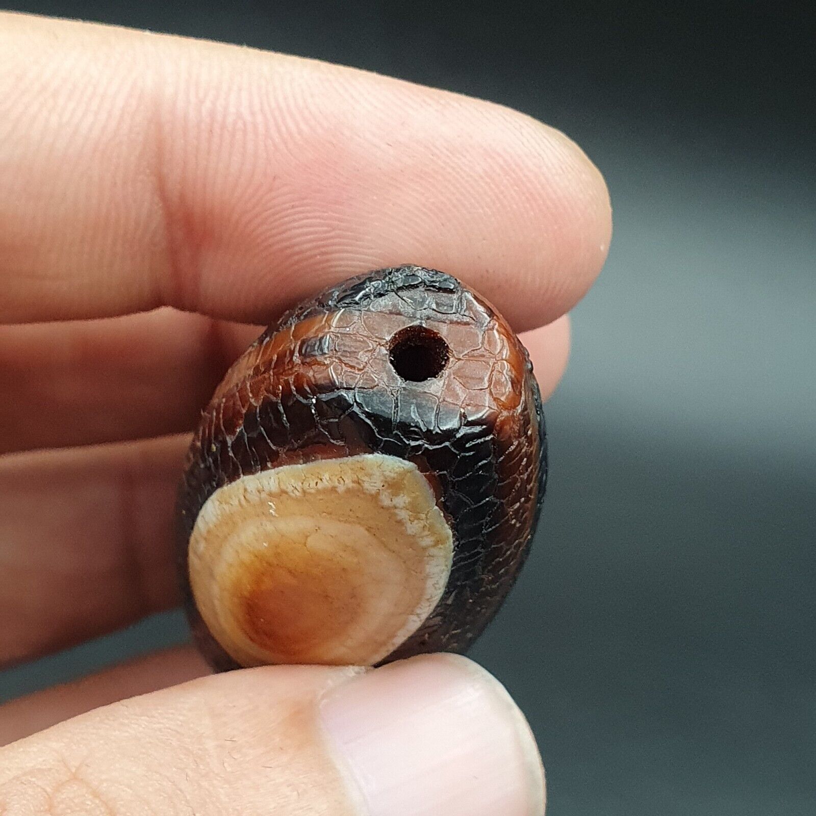 Seltene Drachenhautauge Achat Himalaya Indo Tibet Achat Perle Amulett Perle #26