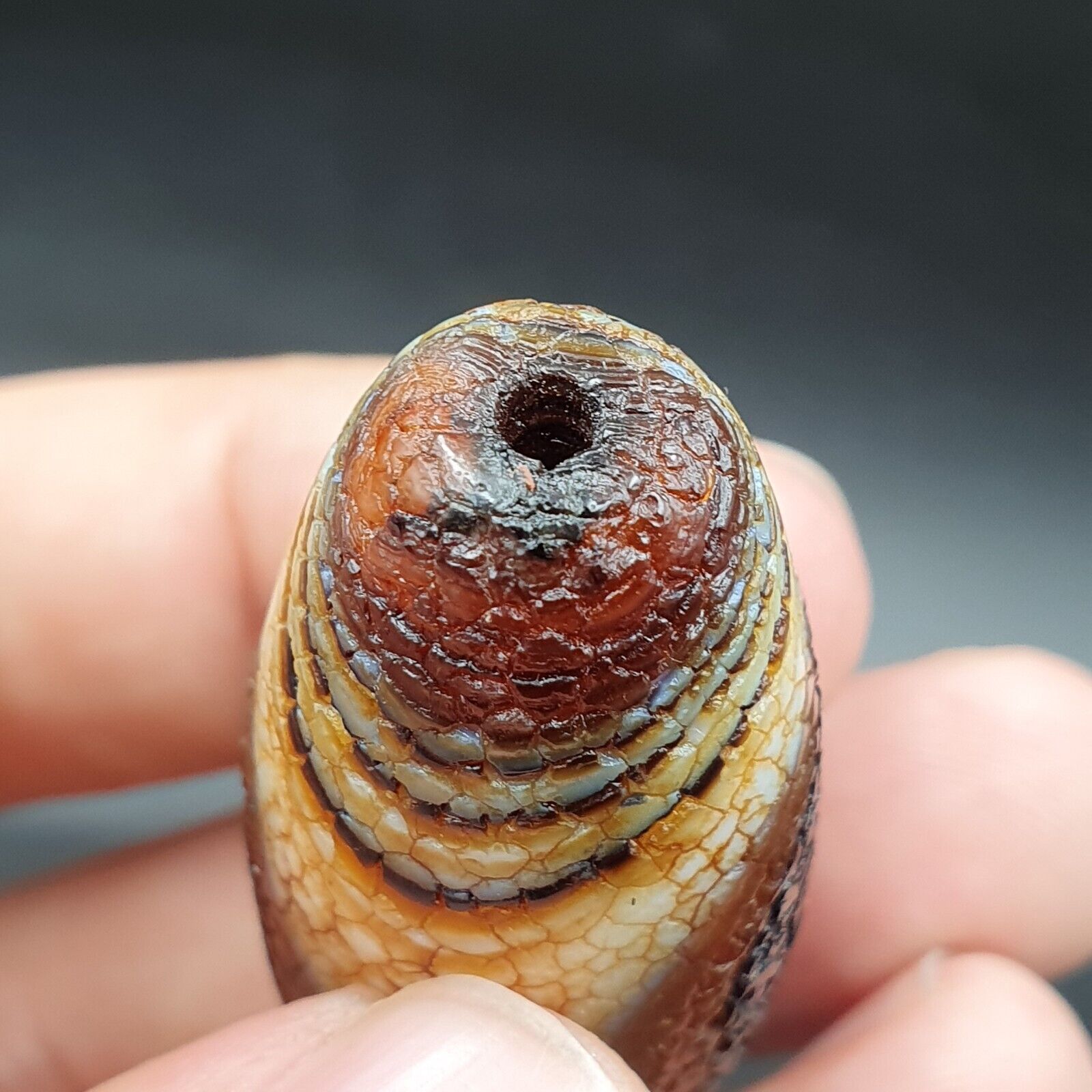 Himalayan Indo Tibetan Agate bead Dragon Skin Agate Amulet Bead #21