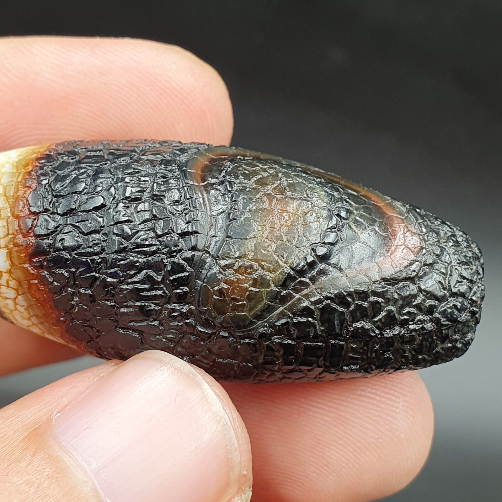 Himalayan Indo Tibetan Agate bead Dragon Skin Agate Amulet Bead #21