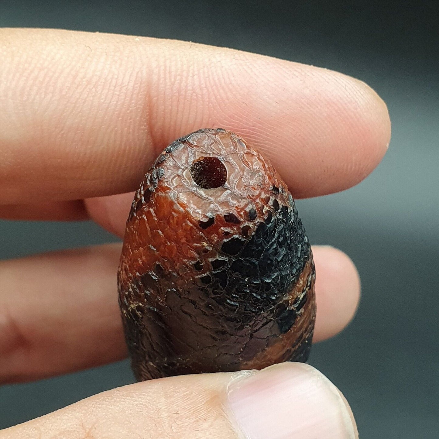 Seltene Drachenhautauge Achat Himalaya Indo Tibet Achat Perle Amulett Perle #26
