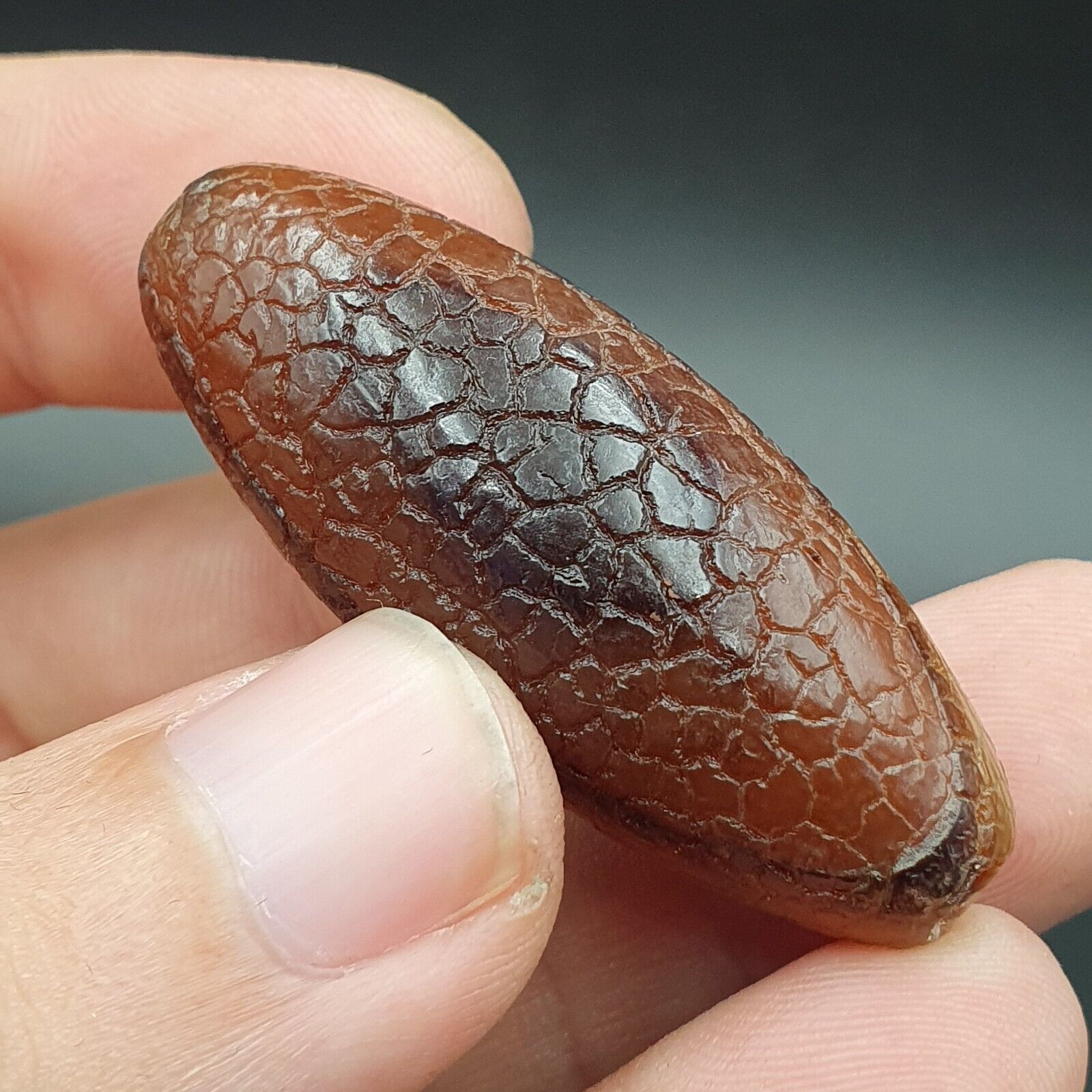 Rare Dragon Skin eye Agate Himalayan Indo Tibetan Agate bead Amulet Bead #27