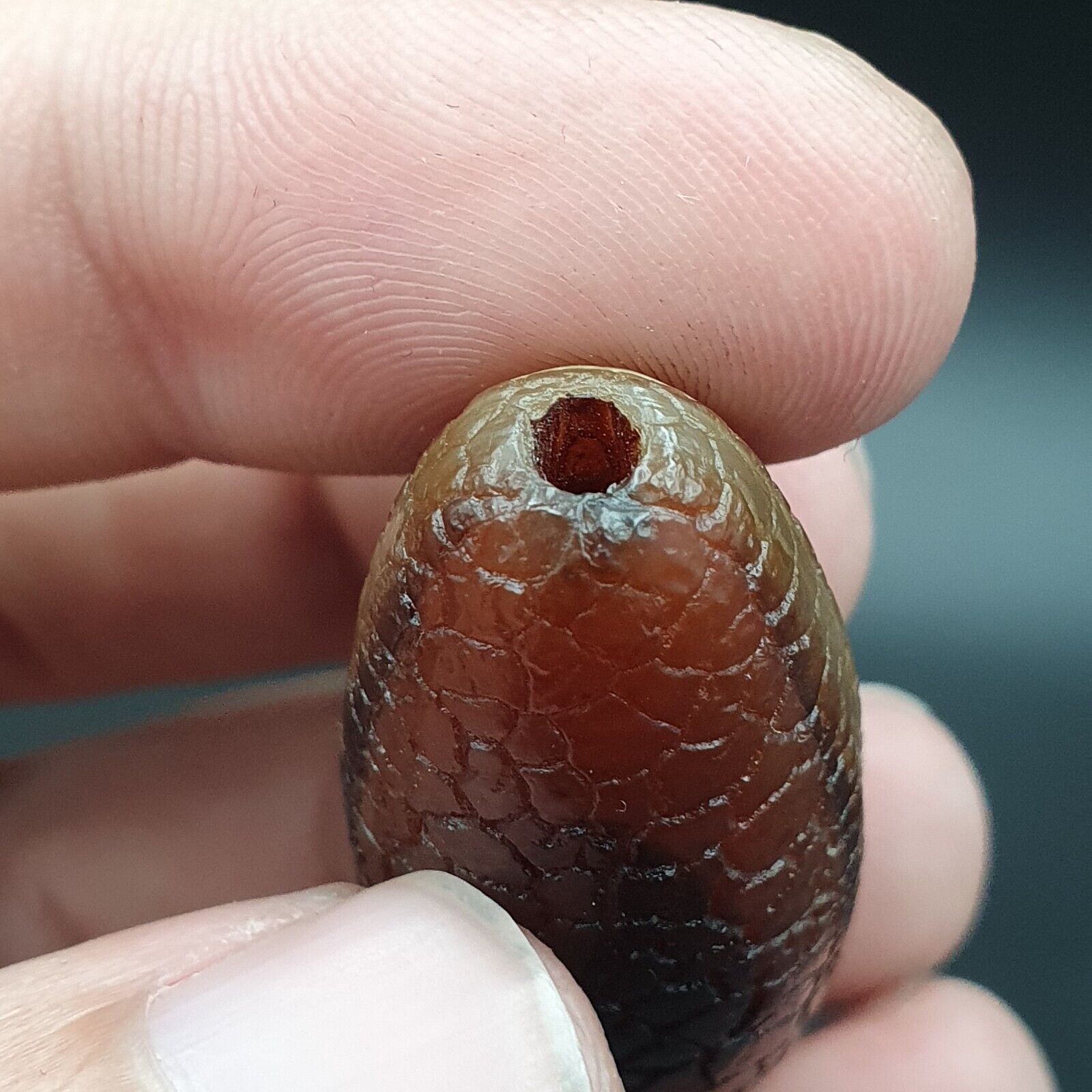 Rare Dragon Skin eye Agate Himalayan Indo Tibetan Agate bead Amulet Bead #27
