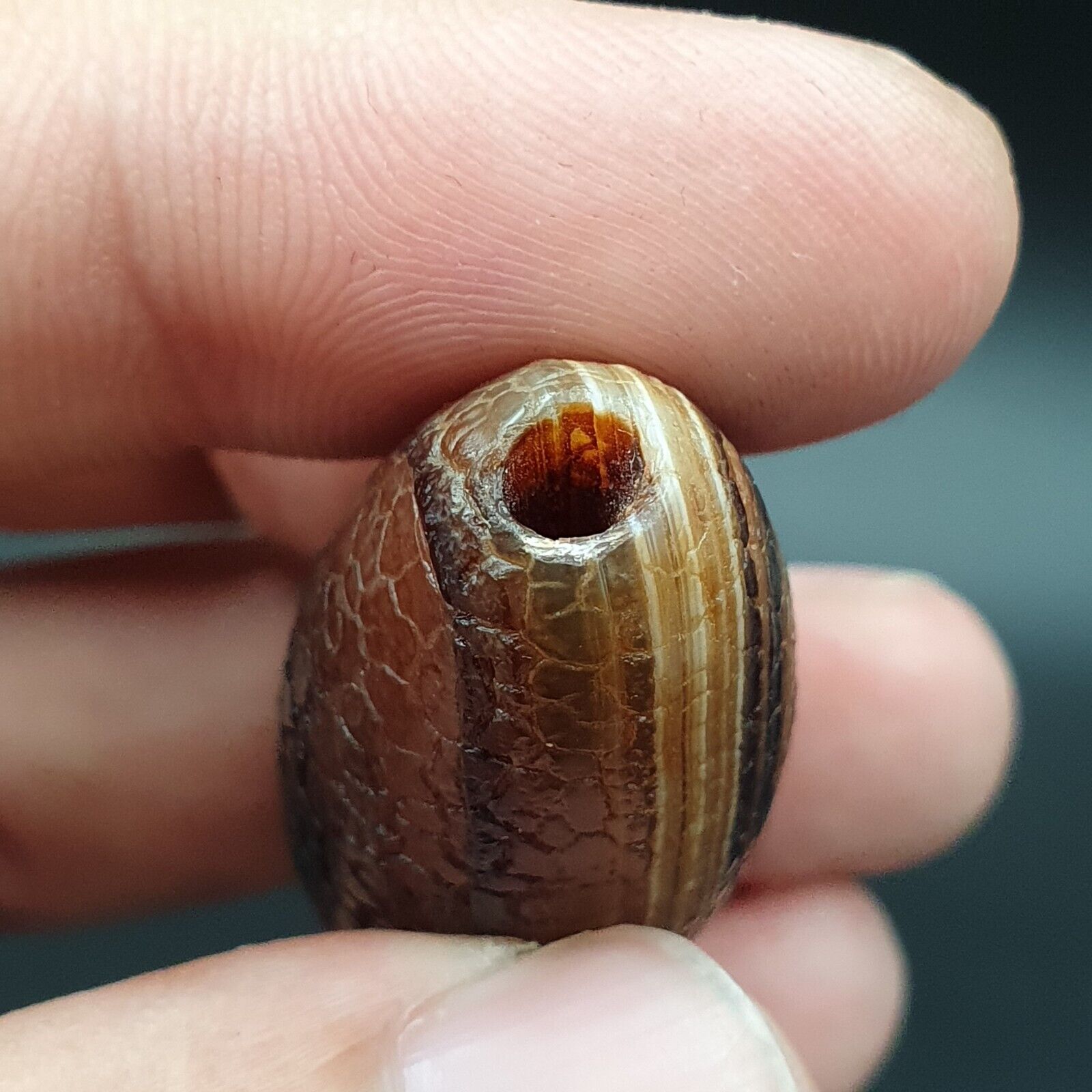Rare Dragon Skin eye Agate Himalayan Indo Tibetan Agate bead Amulet Bead #27