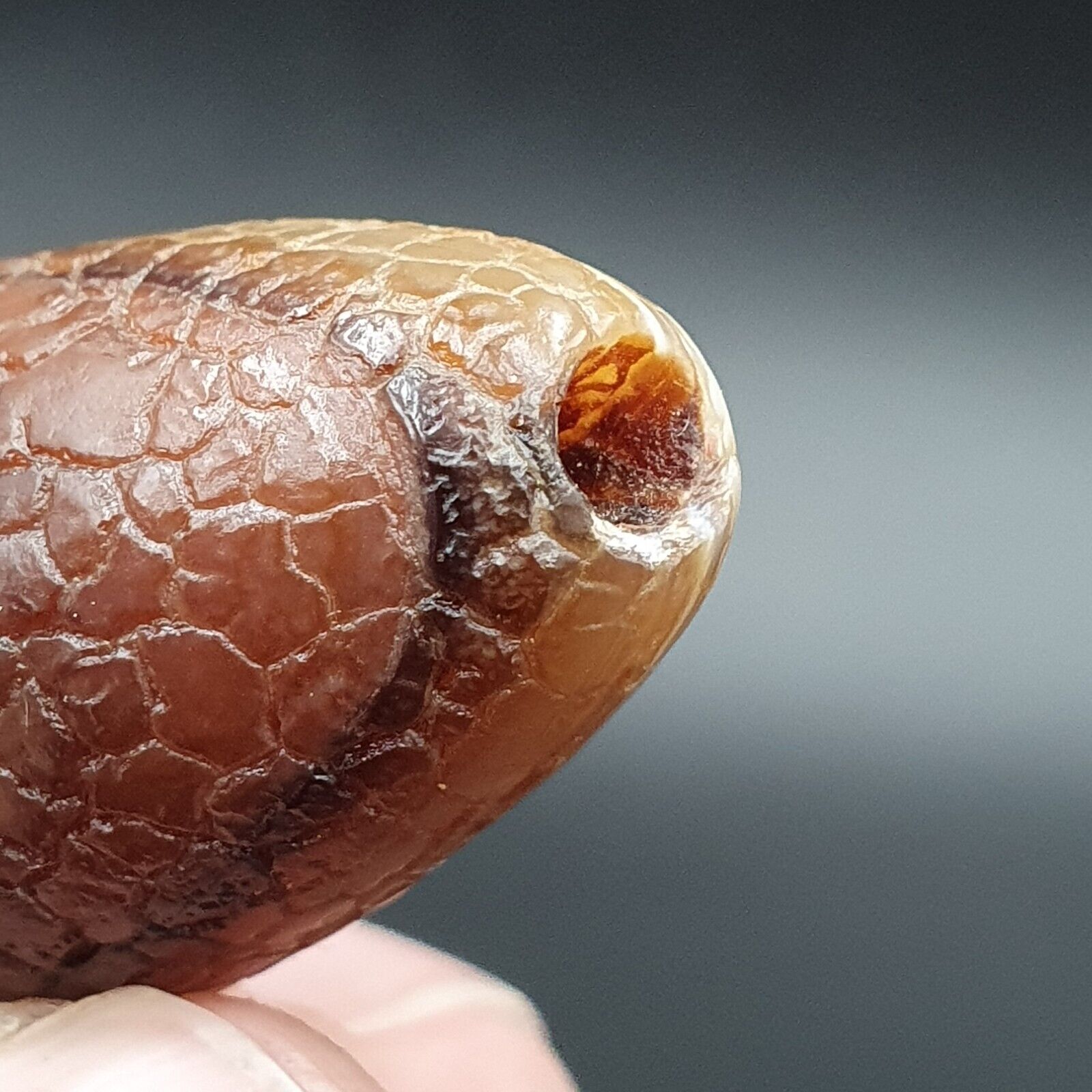 Rare Dragon Skin eye Agate Himalayan Indo Tibetan Agate bead Amulet Bead #27