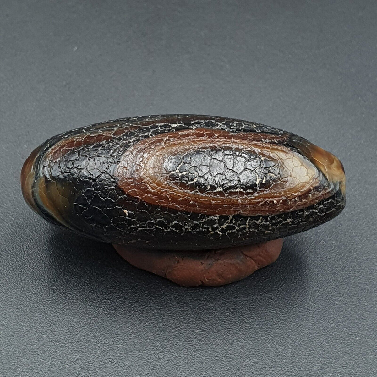 Dragon Skin Agate Himalayan Indo Tibetan Agate bead Amulet Bead #23