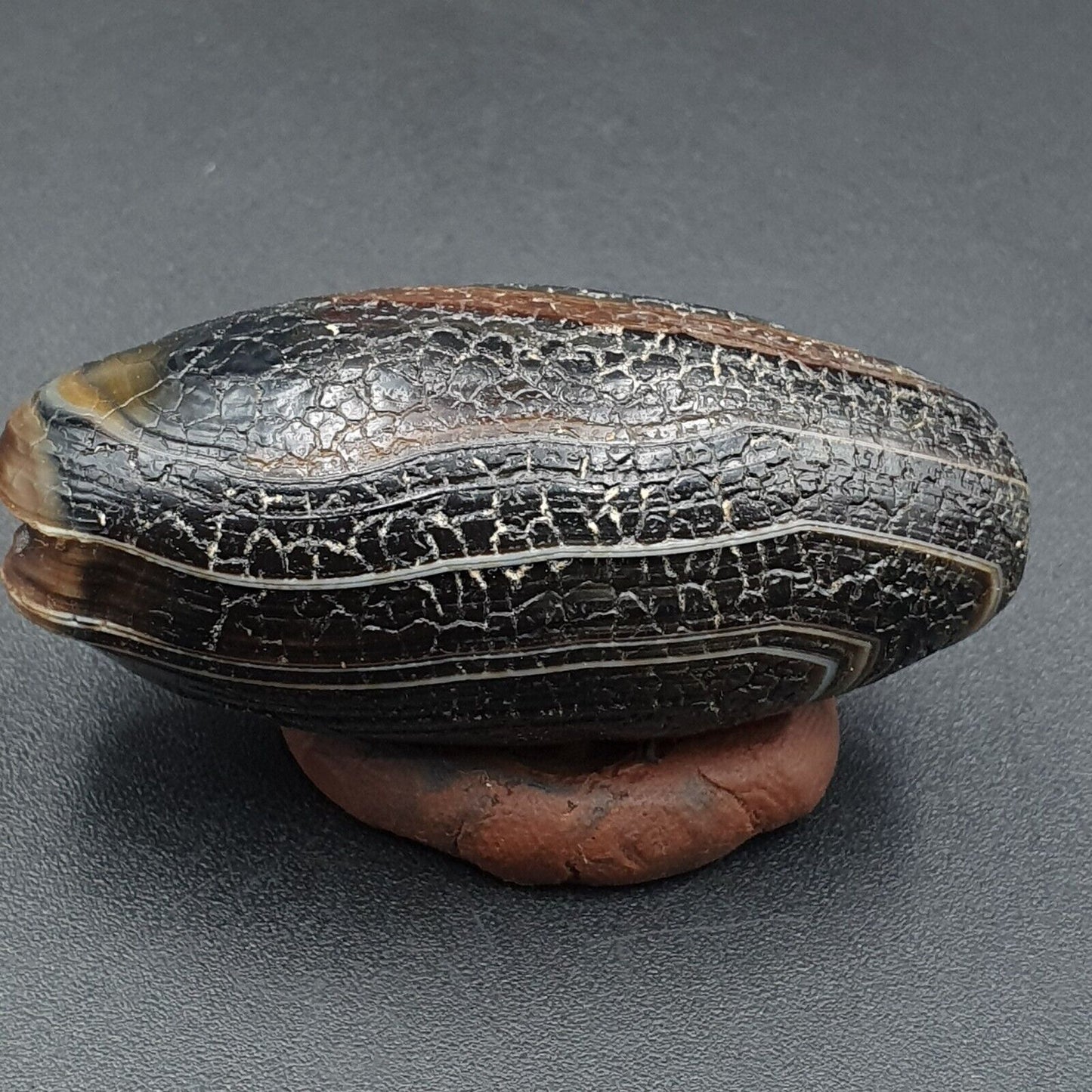 Drachenhaut Achat Himalaya Indo Tibet Achat Perle Amulett Perle #23