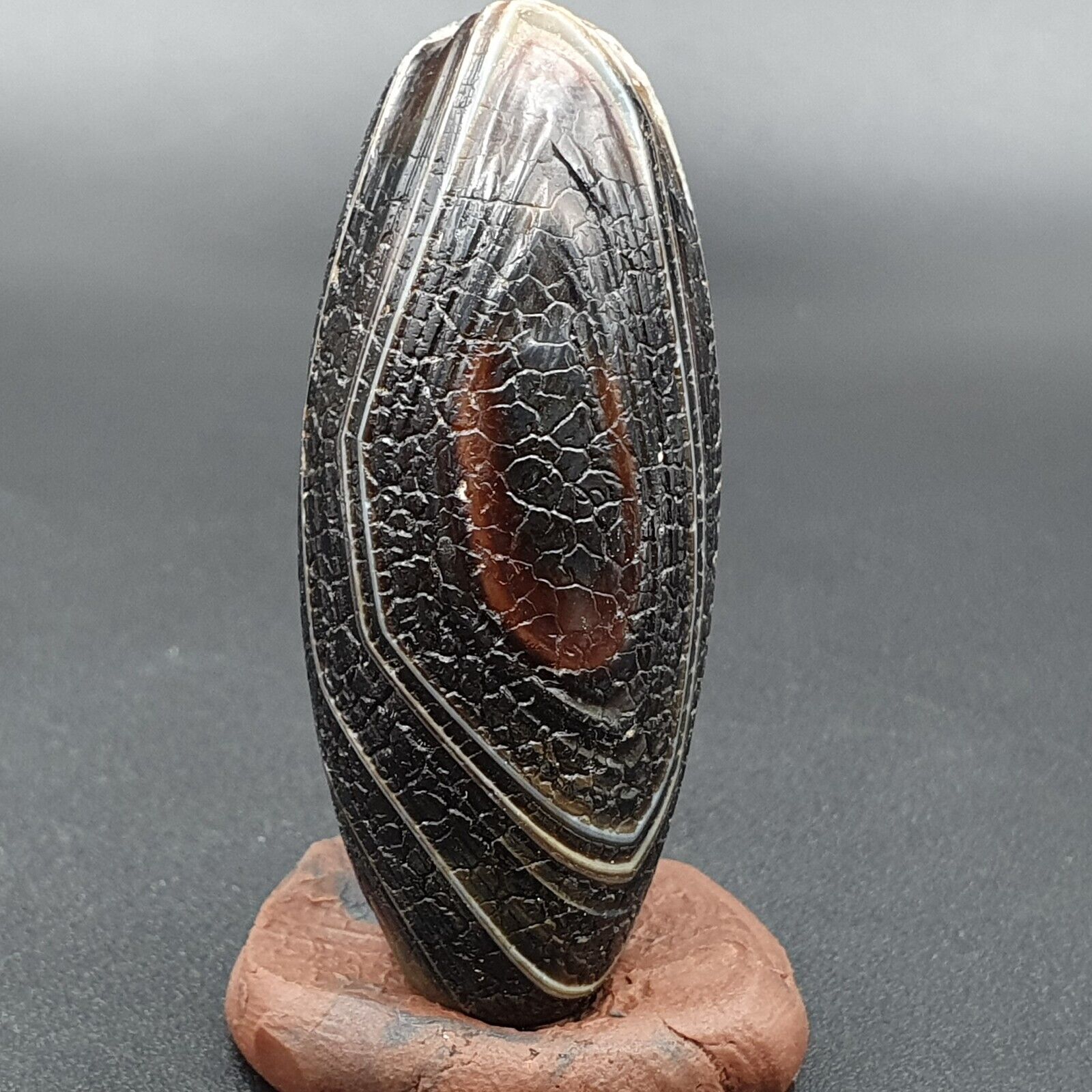 Dragon Skin Agate Himalayan Indo Tibetan Agate bead Amulet Bead #23