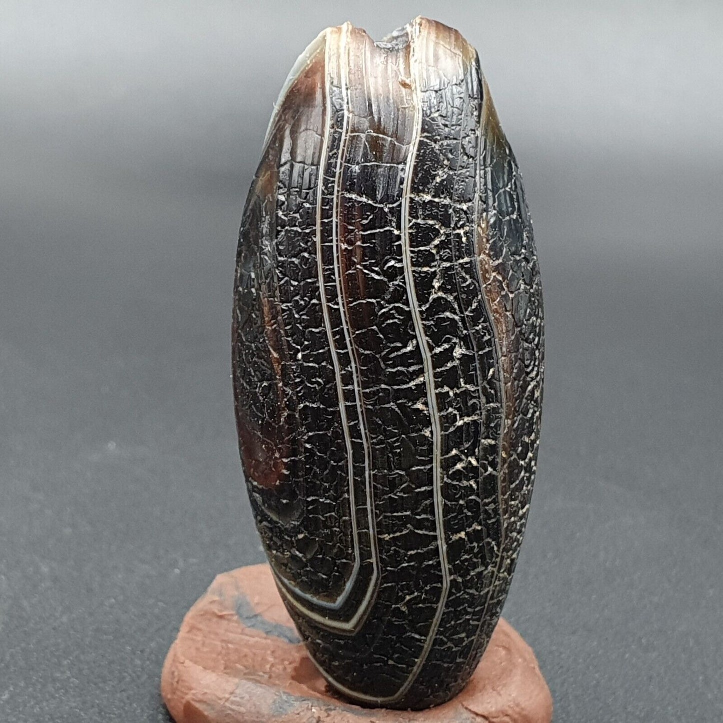 Drachenhaut Achat Himalaya Indo Tibet Achat Perle Amulett Perle #23