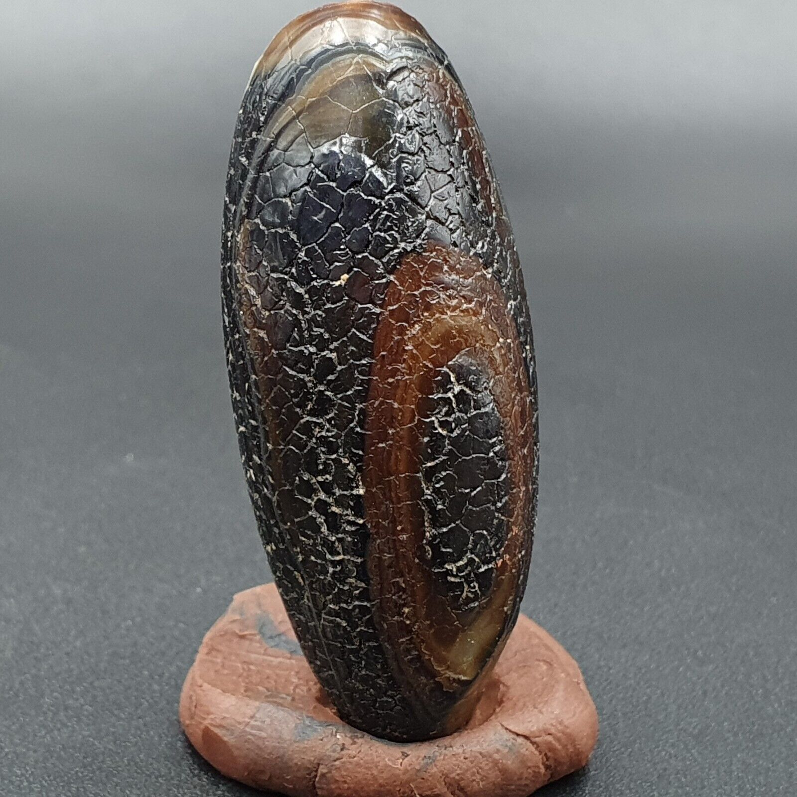 Dragon Skin Agate Himalayan Indo Tibetan Agate bead Amulet Bead #23