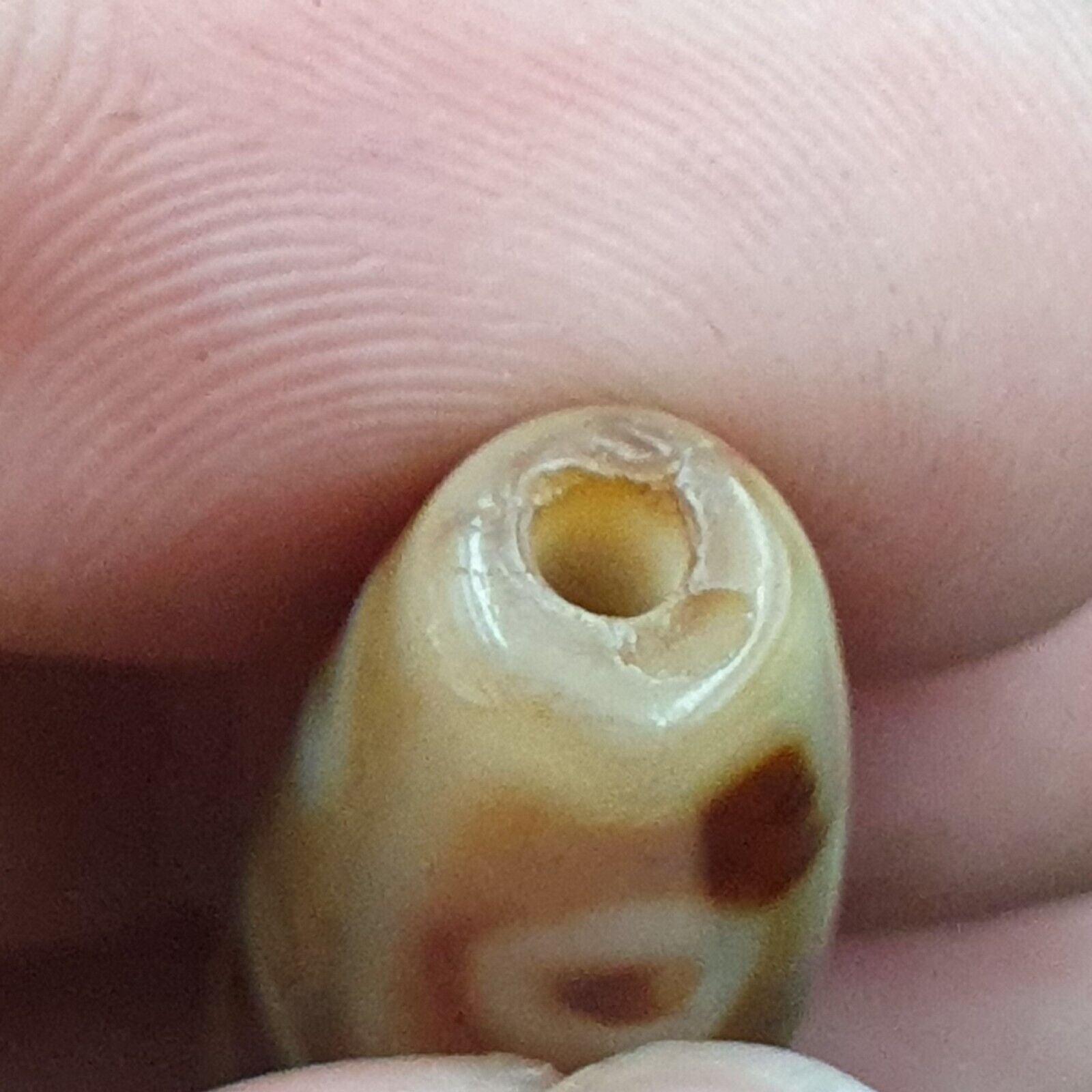 9 Falling Eyes Tibetan dzi bead old amulet vintage Agate Tibet gzi pendant
