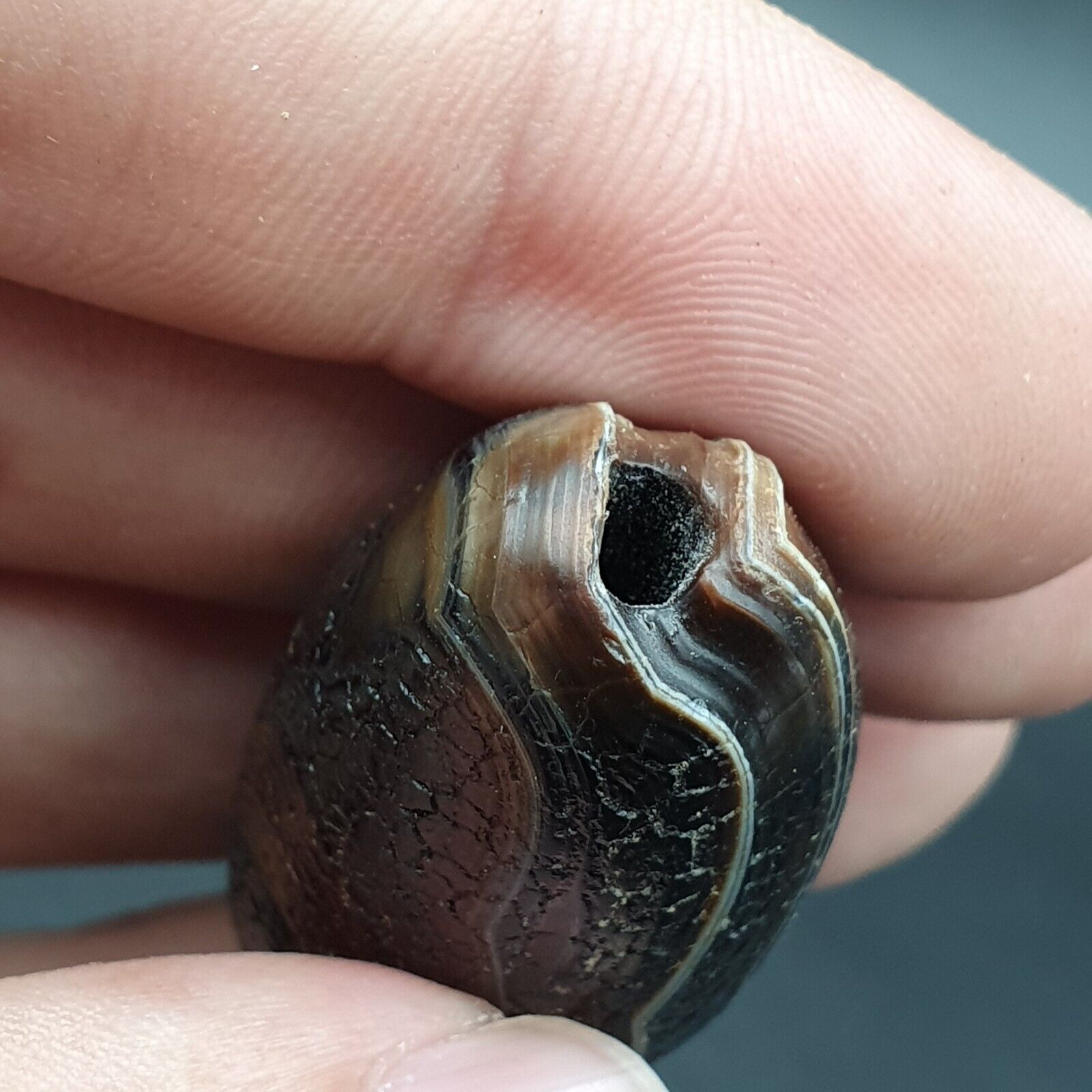 Dragon Skin Agate Himalayan Indo Tibetan Agate bead Amulet Bead #23