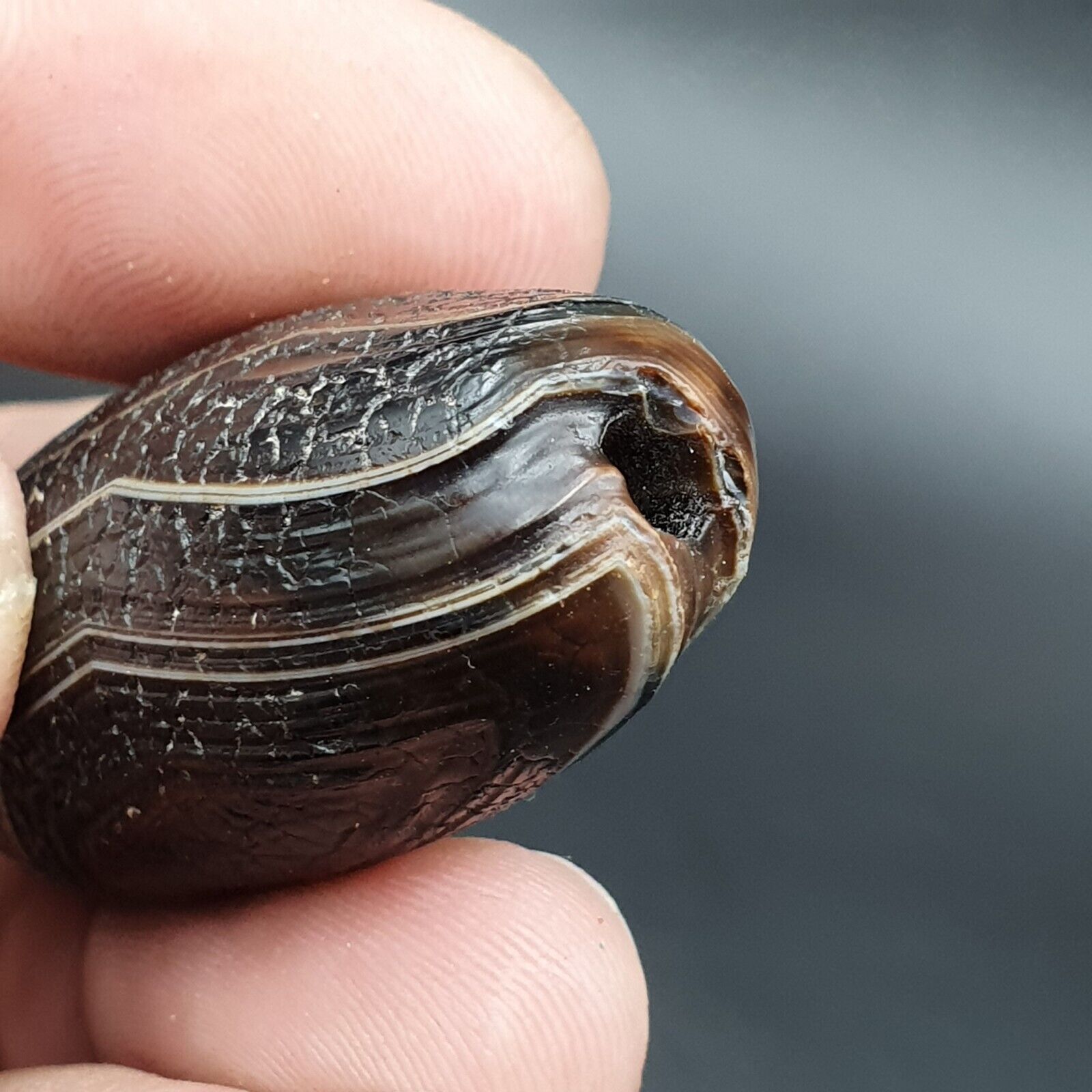 Dragon Skin Agate Himalayan Indo Tibetan Agate bead Amulet Bead #23